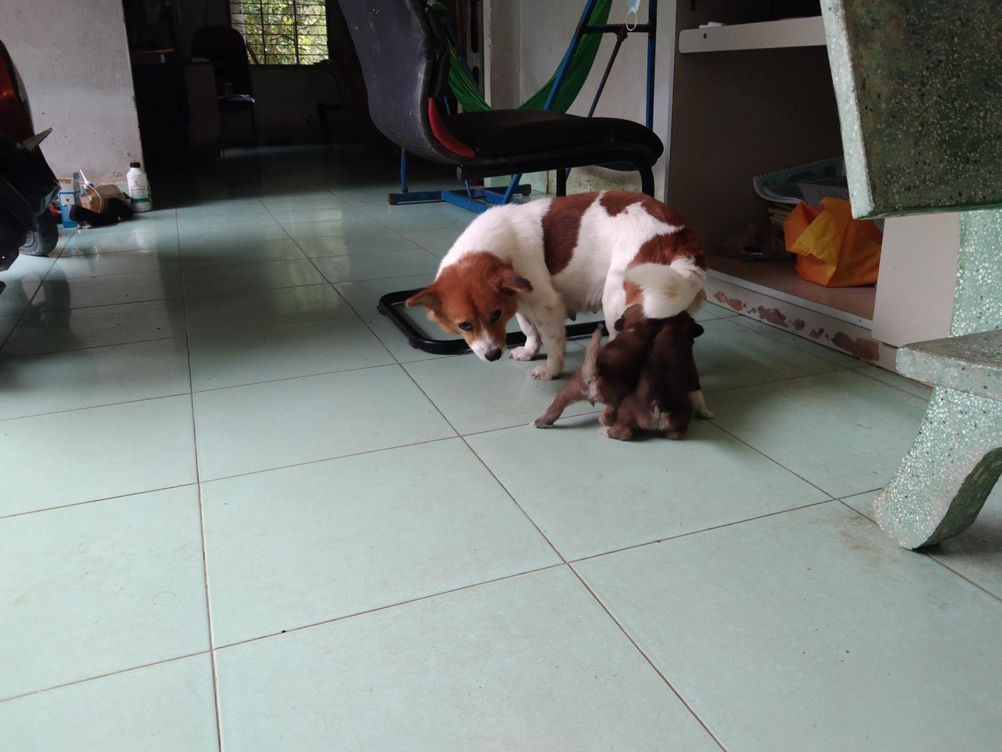 Quoc Phuong Riverside Homestay Ben Tre Luaran gambar